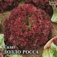 Салат Лолло Росса листовой 10г бордовый купить