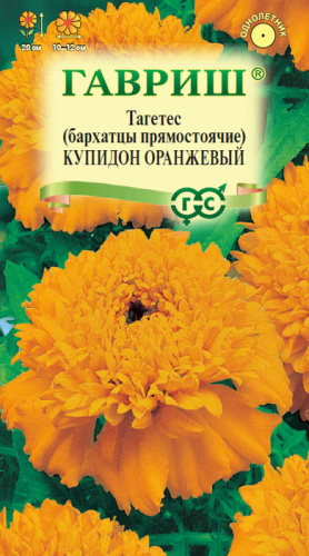 Бархатцы Купидон Оранжевые