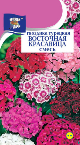 Гвоздика Турецкая Восточная Красавица, смесь 