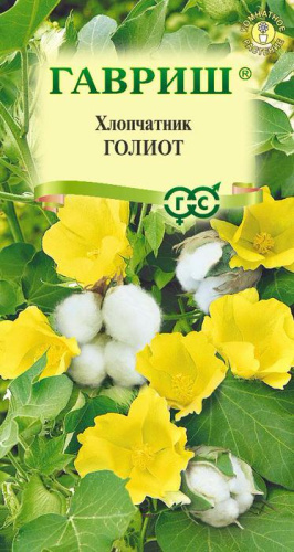 Хлопчатник Галиот (Сахарная Вата) 