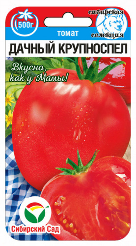 Томат Дачный крупноспел