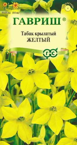 Табак Желтый душистый крупноцветковый
