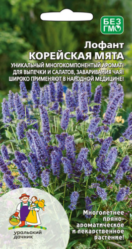 Лофант Корейская мята (УД)