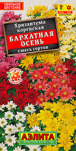 Хризантема корейская Бархатная осень смесь 