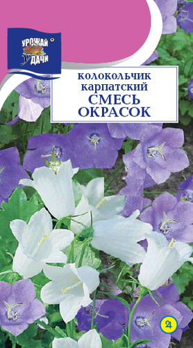Колокольчик Карпатский, смесь