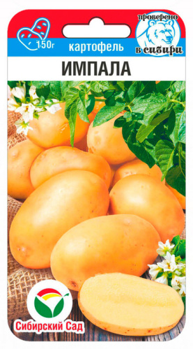 Картофель (семена) Импала