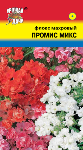 Флокс Промис Микс махровая 
