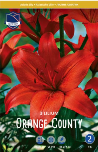 Лилия азиатская Orange County /3шт
