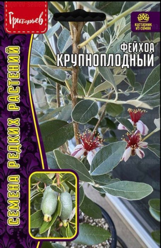 Фейхоа Крупноплодный 7шт 