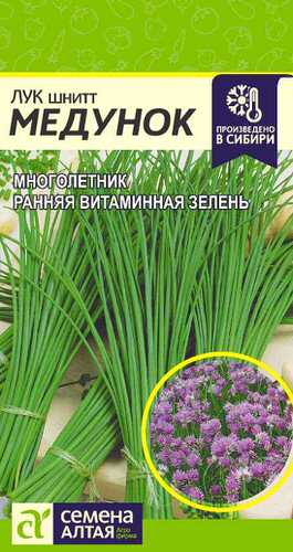 Лук (шнитт) Медунок 