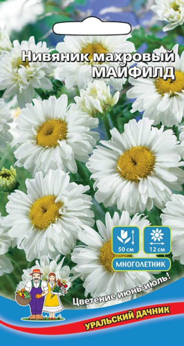 Нивяник Майфилд махровый 