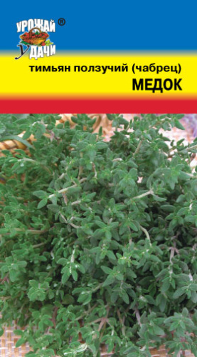 Тимьян Медок 