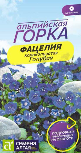 Фацелия Голубая  колокольчатая