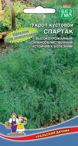 Укроп Спартак 