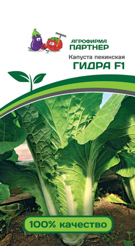 Капуста (пекинская) Гидра F1