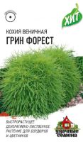 Кохия Грин Форест (веничная) ХИТ х3  купить