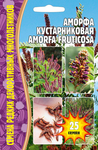 Аморфа Кустарниковая