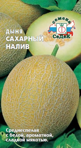 Дыня Сахарный налив 