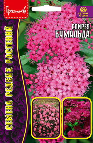 Спирея Бумальда