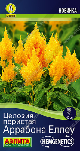 Целозия перистая Аррабона еллоу
