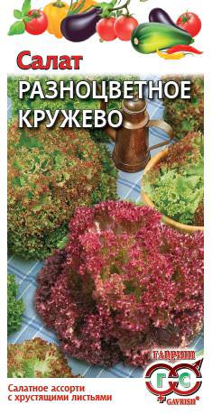 Салат Разноцветное кружево смесь