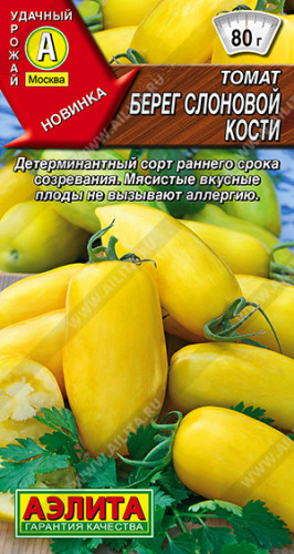 Томат Берег слоновой кости