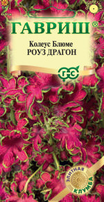 Колеус Роуз Драгон Элитная клумба