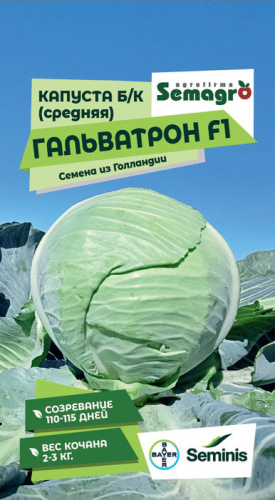 Капуста Гальватрон F1