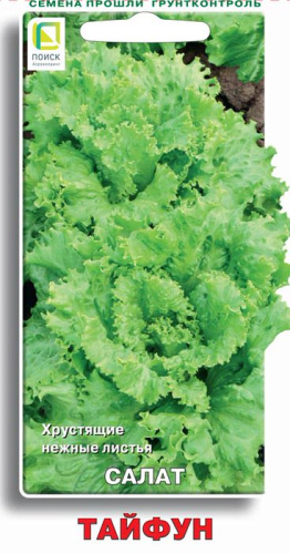 Салат Тайфун