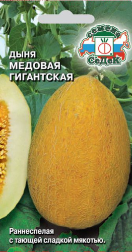 Дыня Медовая гигантская 