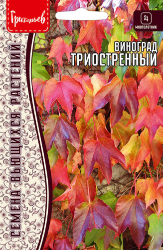 Виноград Триостренный