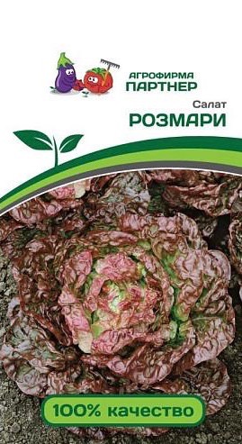 Салат Розмари кочанный 