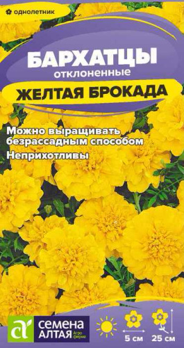Бархатцы Брокада Желтая махровые