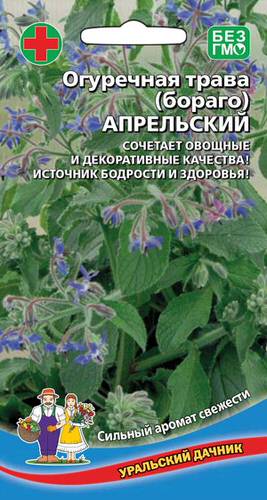 Бораго огуречная трава Апрельский