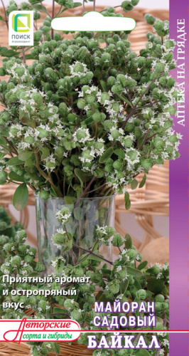 Майоран Байкал садовый