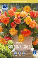 Бегония XXL Balcony  Gold /3шт купить