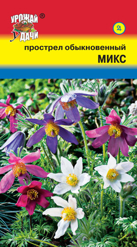 Прострел Микс обыкнов.