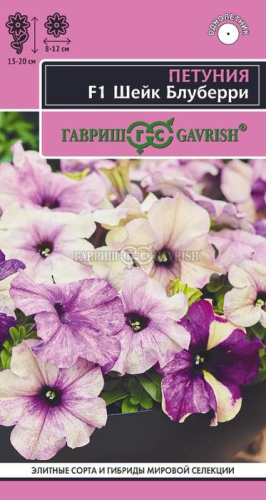 Петуния Шейк Блуберри F1 Элитная клумба