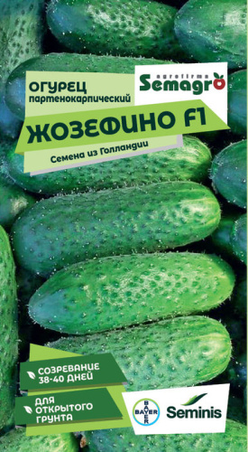 Огурец Жозефино F1 