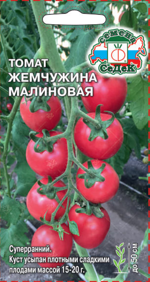 Томат Жемчужина Малиновая