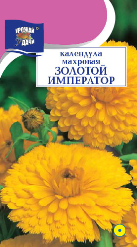 Календула Золотой император махровая