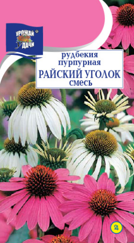 Рудбекия Пурпурная Райский Уголок, смесь 