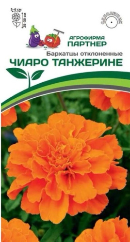 Бархатцы Чиаро Танжерине отклоненные
