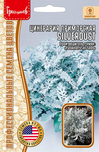 Цинерария приморская Сильвердаст