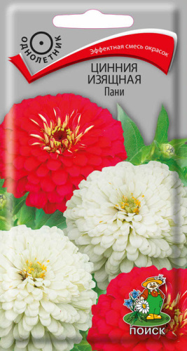 Цинния Пани изящная