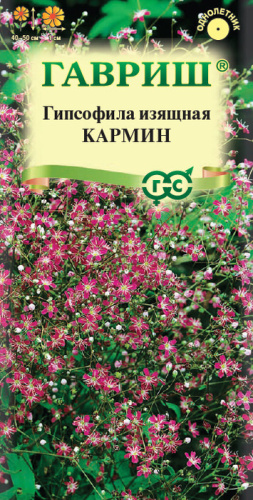 Гипсофила изящная Кармин  