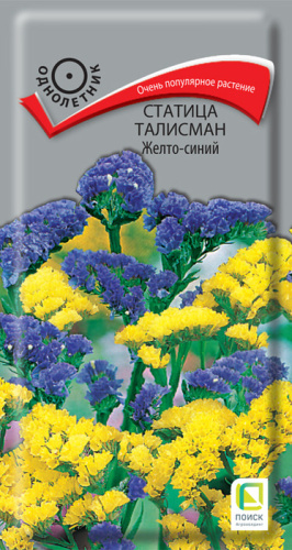 Статица Талисман Желто-синий