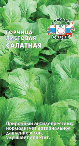 Горчица Салатная 