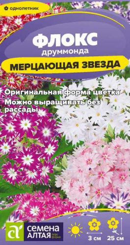 Флокс Мерцающая Звезда друммонда