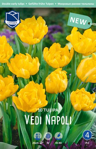 Тюльпан махровый ранний "Vedi Napoli" (1х10шт)